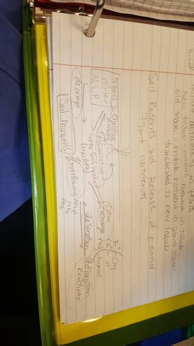 Soils Exam 2 Flashcards Quizlet