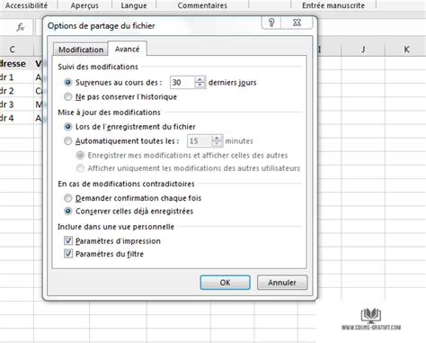 Tutoriel Excel Utiliser Un Classeur Depuis Plusieurs Ordinateurs