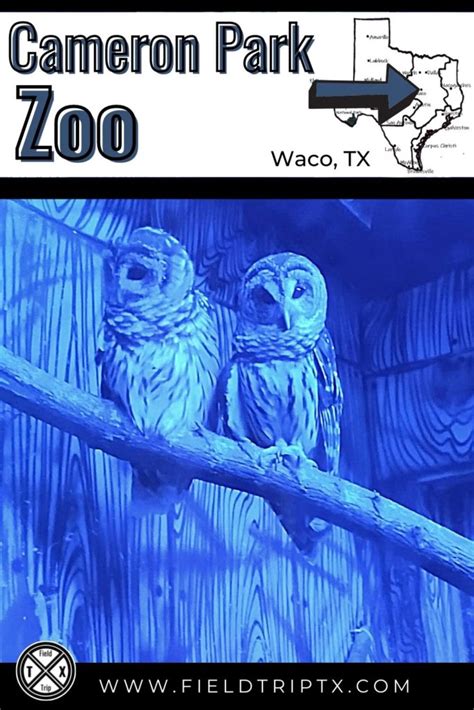 Waco Zoo Shows Off 52 Acres of Natural Habitats | Cameron Park Zoo ...