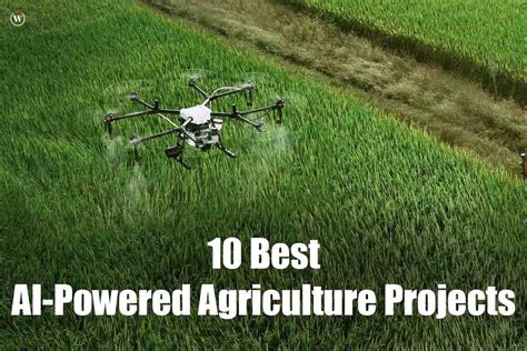 10 Best AI-powered Agriculture Projects | CIO Women Magazine