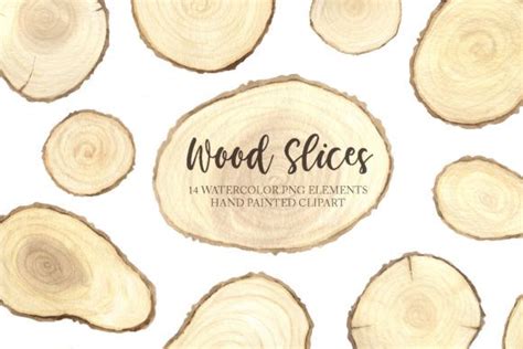 Watercolor Wooden Slices Set Graphic By Larysa Zabrotskaya Creative