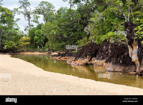 Landscape Of Masoala National Park Madagascar Stock Photo Alamy