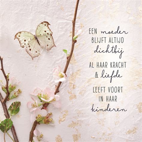 Kaarten Condoleance Algemeen D Hallmark