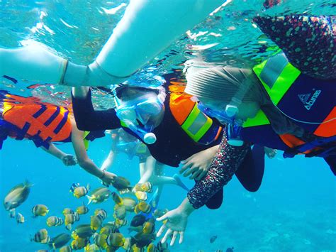 Spots Snorkeling Tour With Manta Rays In Nusa Penida Linkpass