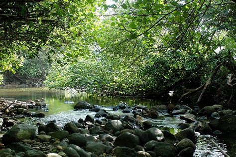 Miles de venezolanos varados en la selva del Darién por el cierre