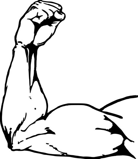 Clipart - Muscle Arm