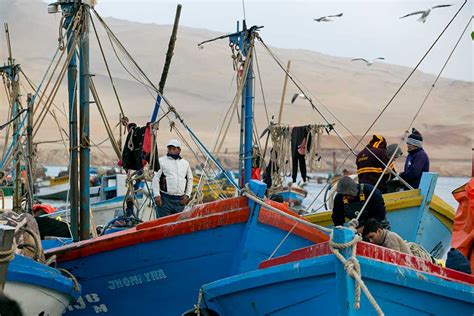 La pesca artesanal en el Perú en las últimas décadas Oceana Peru