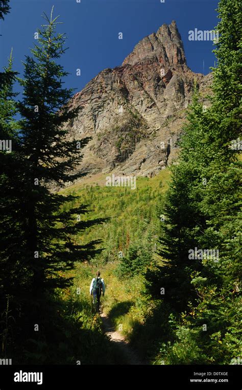 Hiker Walking A Trail In Glacier National Park Montana Stock Photo Alamy