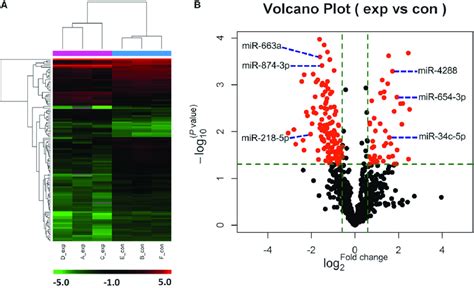 Cluster Analysis And Volcano Plot Of Differentially Expressed Mirnas