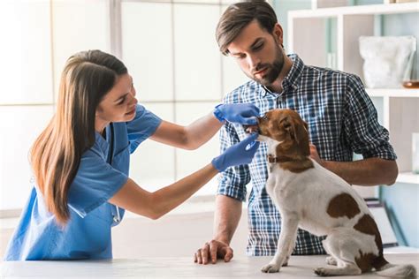 Como Abrir E Implementar Una Veterinaria Exitosa Expoveterinaria PerÚ