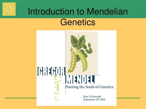 Ppt Introduction To Mendelian Genetics Powerpoint Presentation Free Download Id4145656