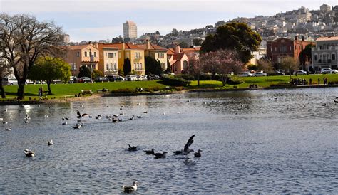 San Francisco Palace Of Fine Arts Susanne Denny Flickr