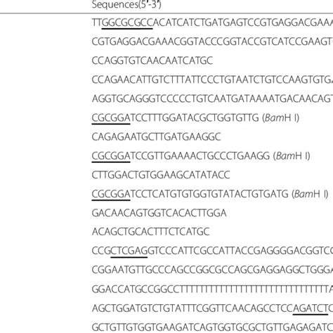 Construction Of The DNA Launched Infectious CDNA Clone Of The DAstV 1