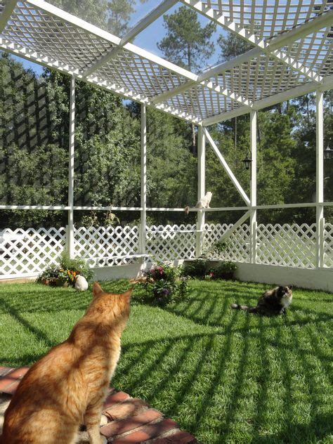 Patio Cat Enclosure Beautiful World Living Environments