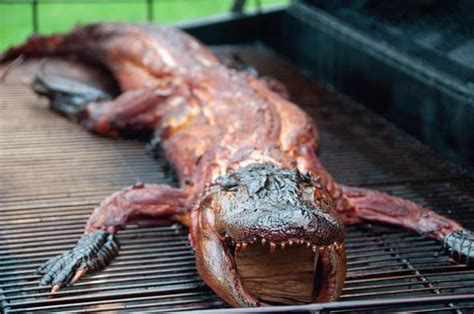 Whole Smoked Alligator Recipe Recipe Alligator Recipe Smoked