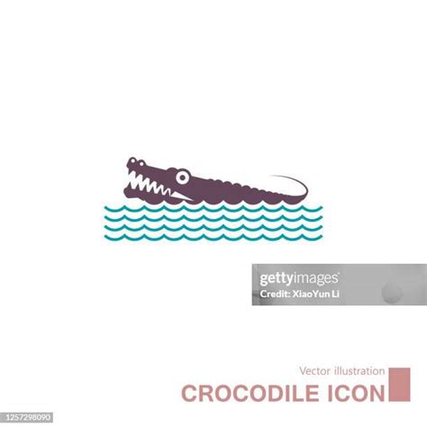 704 Crocodile Sign Stock Photos High Res Pictures And Images Getty