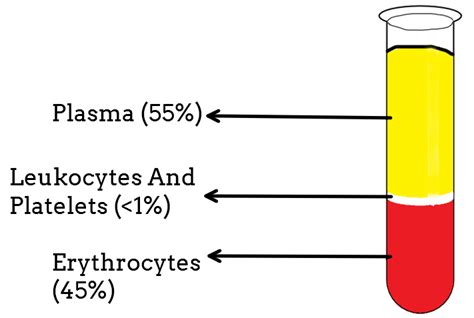 Blood Clotting Proteins