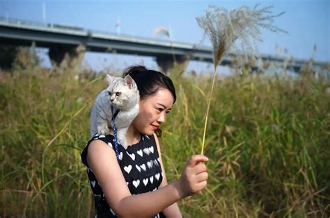 网友第一次带猫出去散步，没想到它死了。 喵百科 上亦科技