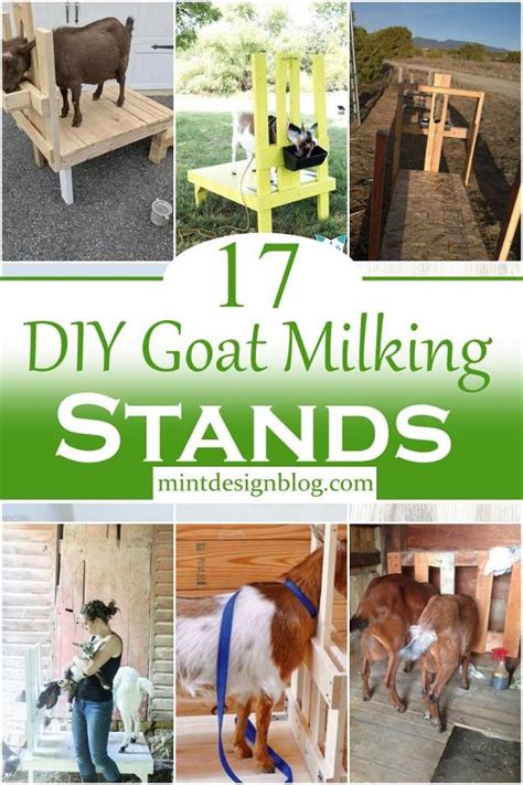 17 Diy Goat Milking Stands You Can Make Today Mint Design Blog