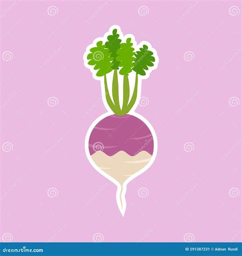 Purple Turnip Flat Design Vector Illustration Adorable Cartoon Radish