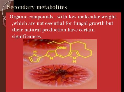 Secondary metabolites