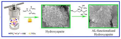 Surface Modification Of Hierarchical Hydroxyapatite Fabricated Via