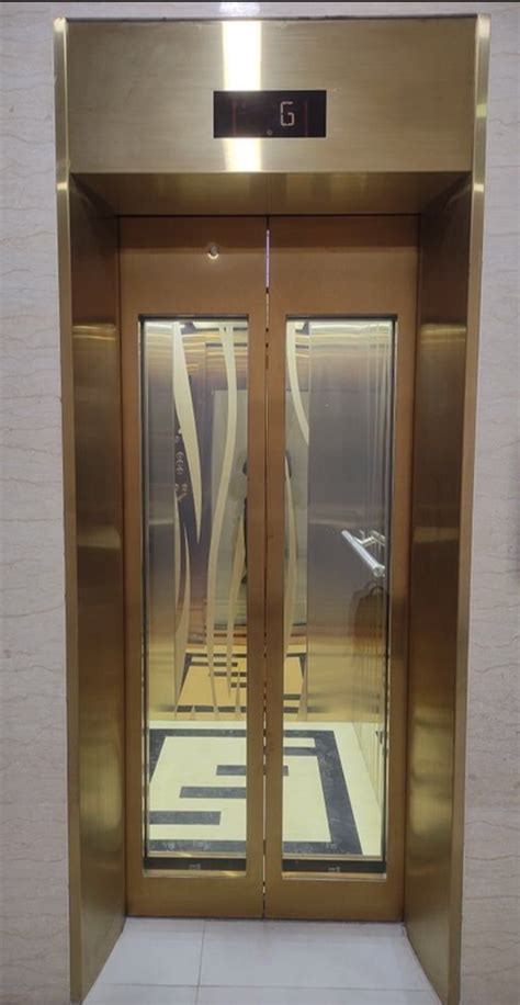 Stainless Steel Center Opening Big Vision Glass Elevator Door