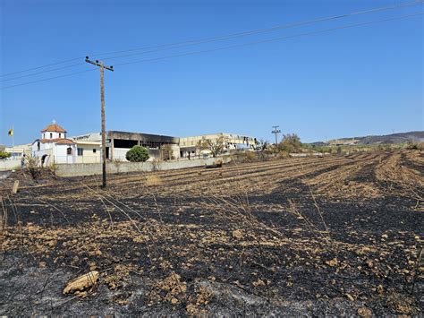 Nach den Flammen Große Zerstörungen in Nea Anchialos Rheinischer