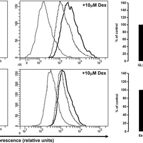 Wound Healing Assay In Gl Cells Grown In Monocultures Or Co Cultures