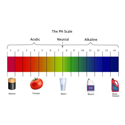 Printable Ph Scale