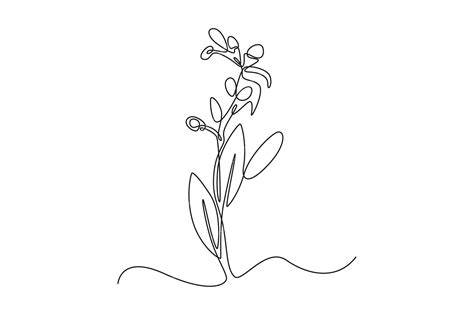 Premium Vector Single One Line Drawing Plants And Herbs Concept