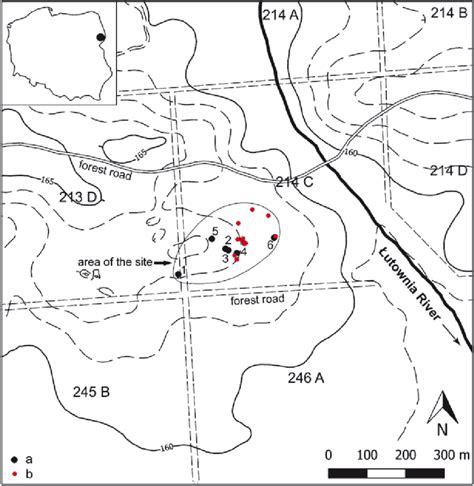 Białowieża Forest, Leśnictwo Postołowo Site 11. Location of the site on ...