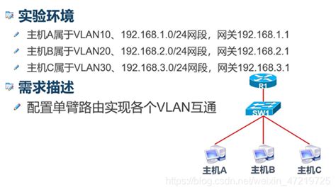 Ensp 单臂路由的配置（带配置命令）ensp单臂路由器的配置 Csdn博客