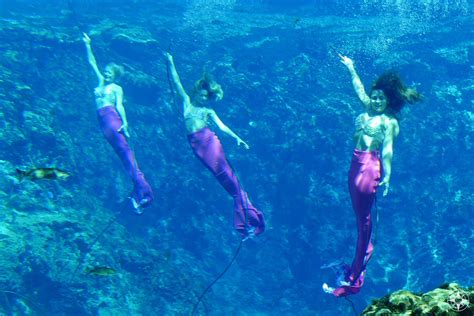 Meet Mermaids and Paddle A Crystal Clear River: Weeki Wachee Springs and River (Florida)