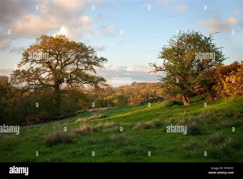 Cotswold Countryside In Spring Time Gloucestershire England Stock