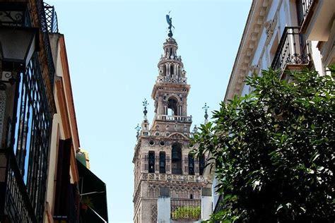 Ricardo Carmona Su Rez Tour Guide Seville