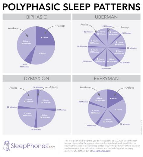 What Is Polyphasic Sleep And Is Eight Hours Of Shuteye Really