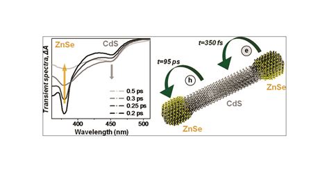 Ultrafast Carrier Dynamics In Type Ii Znse Cds Znse Nanobarbells Acs Nano