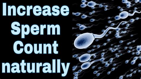 How To Increase Sperm Count Sperm Count Kaise Badhaye Naturally