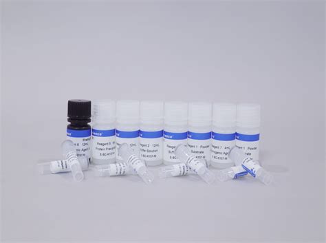 Adenosine Triphosphate Atp Colorimetric Assay Kit Elabscience 官方网站