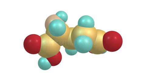 Glutamic acid on white stock vector. Illustration of molecular - 149617990