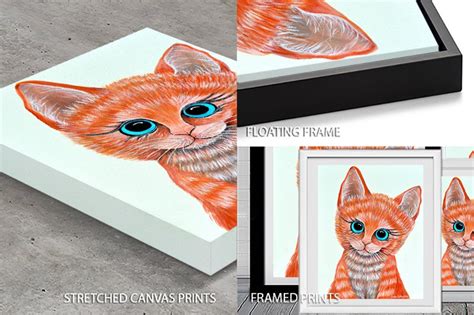 Quirky Cool Cat Linda Callaghan Wall Art | Canvas Prints Perth