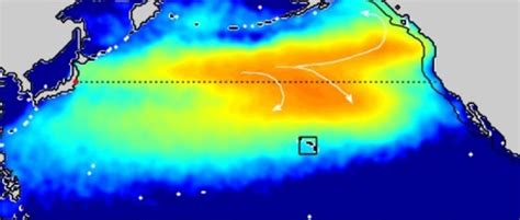 Fukushima S Radioactive Ocean Plume Due To Reach Us Waters In 2014 Nbc News