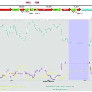 The Recombination Analysis Of The Complete Genome Of Pedv Dy