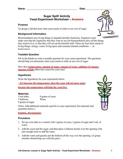 Balloons With Yeast Lab Report