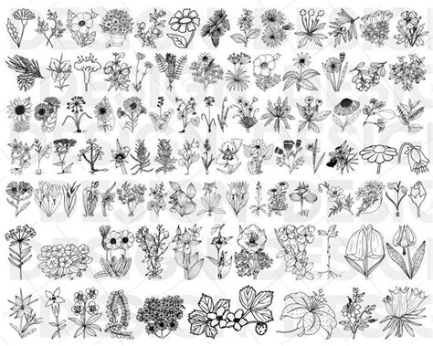 90 Wildflower Svg Bundle Wildflowers Png Wildflowers Clipart