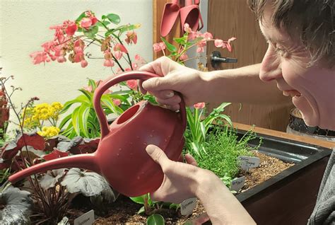 Watering The Garden Eldergrow Therapy Garden