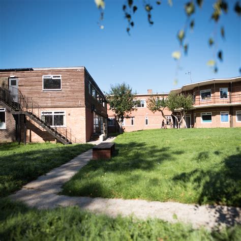 Manor House School Acorn