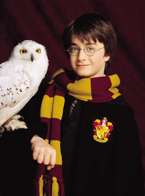 Harry Potter Hedwig Wallpapers - Top Free Harry Potter Hedwig ...