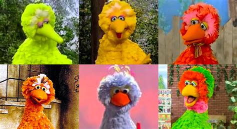 What Big Bird from Sesame St. looks like in other countries : r ...